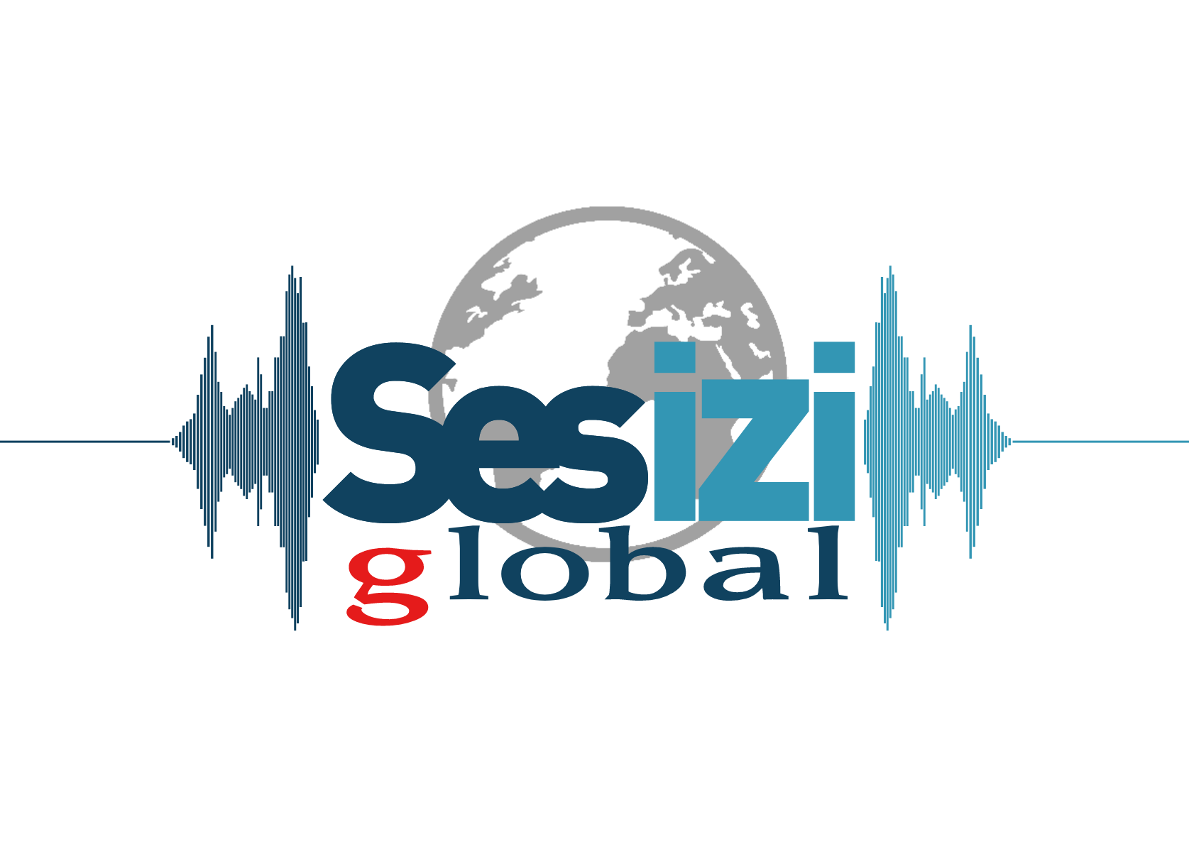 Sesizi